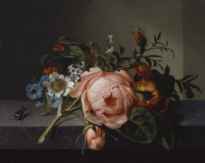 Stillleben mit Rosenast, Käfer und Biene, 1741 von Rachel Ruysch