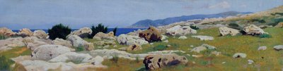 Castiglioncello von Punta del Bocca, um 1864 von Raffaello Sernesi