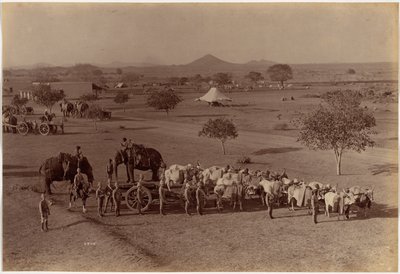 Schwere Feldbatterie, Jhansi von Raja Deen Dayal