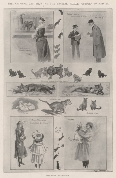 Die nationale Katzenausstellung im Crystal Palace, 29. und 30. Oktober von Ralph Cleaver