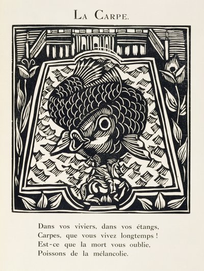 Der Karpfen, Illustration aus 