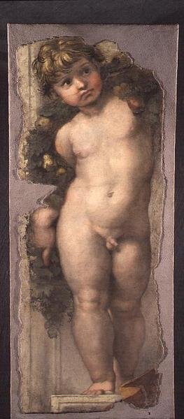 Putto mit Feston (Fresko-Fragment) von Raphael