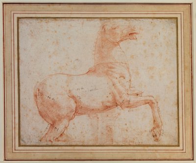 Studie eines der Quirinal-Marmor-Pferde, ca. 1515-17 von Raphael