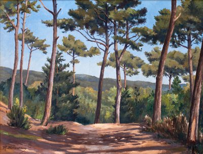 Auf der Düne am Canon von Raymond Bonnefon