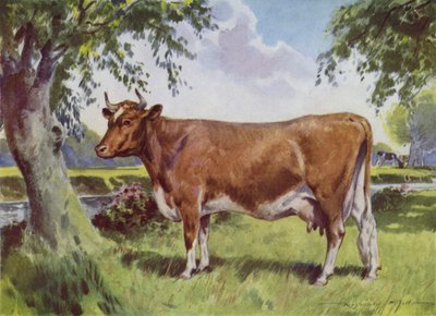 Illustration für Mein Bauernhof (Farblithografie) von Reginald Mills