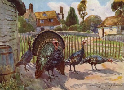 Illustration für Meine Farm von Reginald Mills