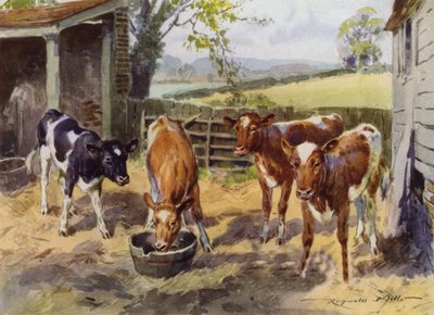 Illustration für Meine Farm von Reginald Mills