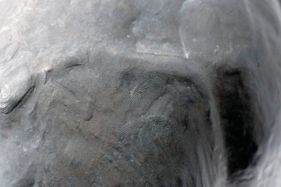 Große Giraffe mit gesenktem Kopf von Rembrandt Bugatti