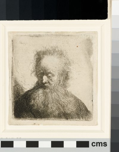 Alter Mann mit fließendem Bart: Büste von Rembrandt van Rijn