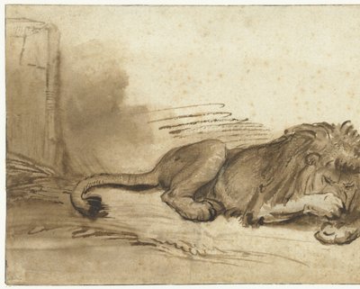 Liegender Löwe mit der Vorderpfote über der Schnauze von Rembrandt van Rijn (school of)