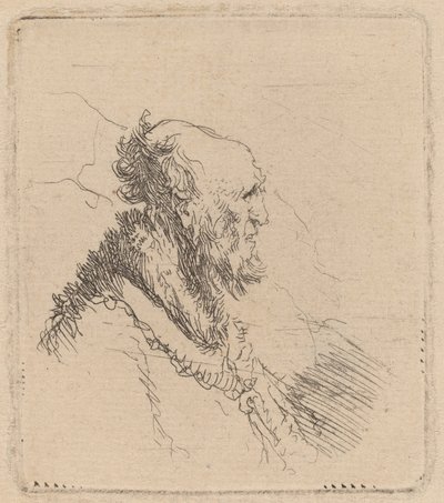 Glatzköpfiger alter Mann mit kurzem Bart im Profil von Rembrandt van Rijn