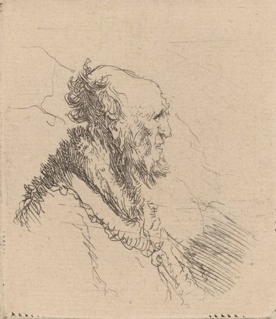 Kahlköpfiger alter Mann mit kurzem Bart im Profil von Rembrandt van Rijn