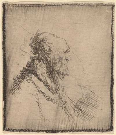 Glatzköpfiger alter Mann mit kurzem Bart im Profil von Rembrandt van Rijn