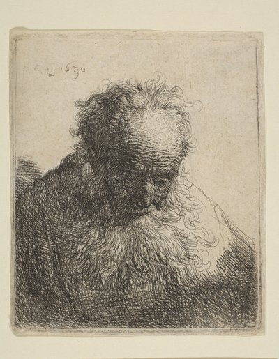 Büste eines alten Mannes mit fließendem Bart: der Kopf nach vorne geneigt: linke Schulter unbeschattet, 1630 von Rembrandt van Rijn