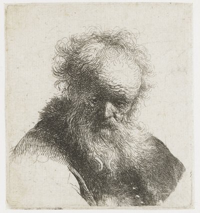 Büste eines alten Mannes mit fließendem Bart und weißem Ärmel von Rembrandt van Rijn
