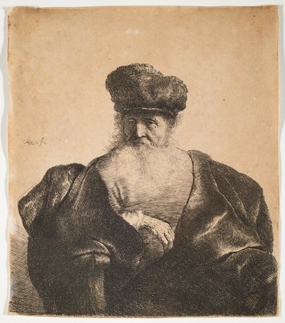 Alter Mann mit Bart, Pelzmütze und Samtumhang von Rembrandt van Rijn