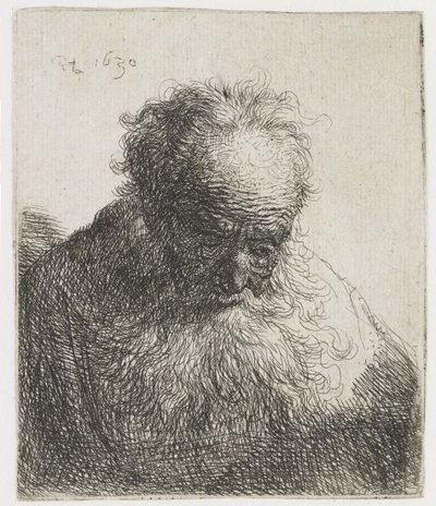 Alter Mann mit fließendem Bart, linke Schulter unbeschattet von Rembrandt van Rijn