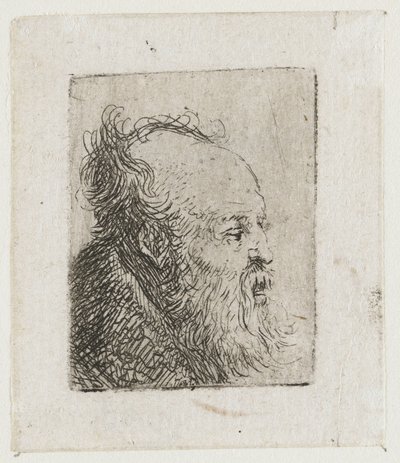 Alter bärtiger Mann, der Mund halb offen von Rembrandt van Rijn