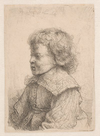Porträt eines Jungen im Profil von Rembrandt van Rijn