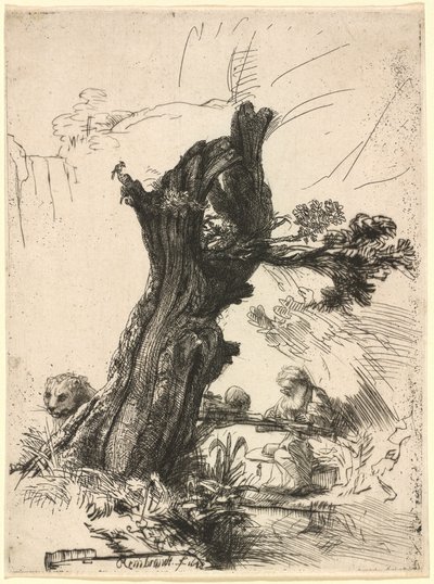 Heiliger Hieronymus neben einer Kopfweide von Rembrandt van Rijn