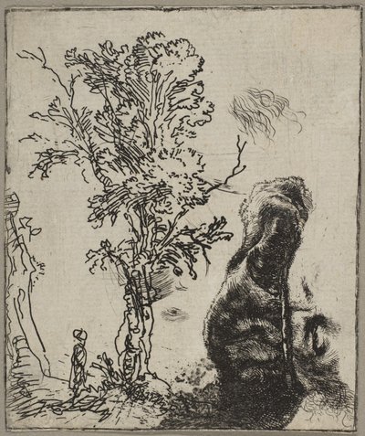 Blatt mit zwei Studien: Ein Baum und der obere Teil eines Kopfes von Rembrandt mit einem Vel..., ca. 1642 von Rembrandt van Rijn