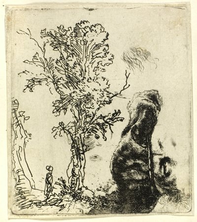 Blatt mit zwei Studien: Ein Baum und der obere Teil des Kopfes des Künstlers mit Samtkappe von Rembrandt van Rijn
