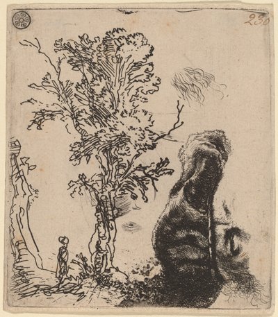 Blatt mit zwei Studien: ein Baum und der obere Teil eines Kopfes des Künstlers mit Samtkappe von Rembrandt van Rijn