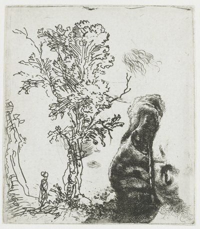 Studienblatt mit einem Baum und dem oberen Teil von Rembrandts Kopf mit Barett von Rembrandt van Rijn