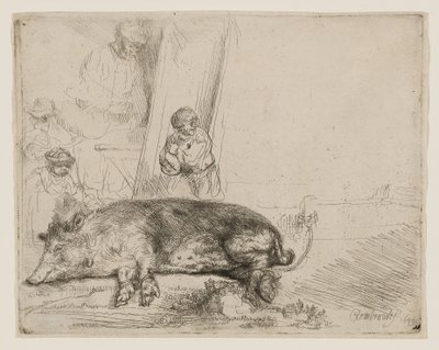 Das Schwein von Rembrandt van Rijn