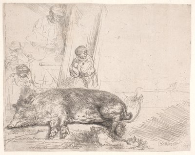 Das Schwein von Rembrandt van Rijn