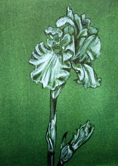 Elegante grüne Iris von Renee Machan Cottagecore Artist