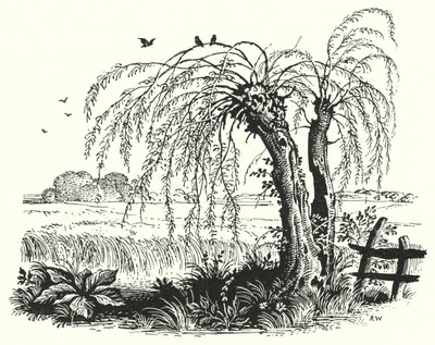 Hans Christian Andersen: Der Buchweizen (Lithographie) von Rex (after) Whistler