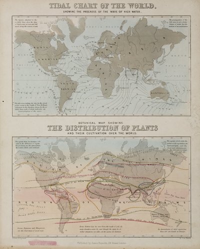 Eine Gezeitenkarte und eine Karte der Verteilung von Pflanzen weltweit, ca. 1850 von John Pardon