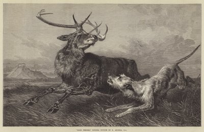 Hart bedrängt von Richard Ansdell