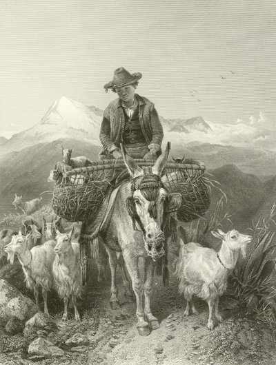Der Ziegenhirte von Granada von Richard Ansdell