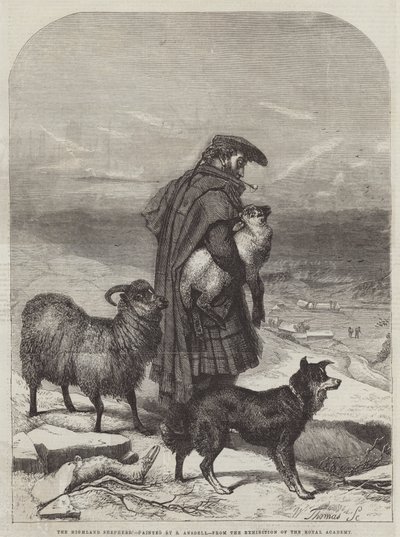 Der Hochlandhirte von Richard Ansdell