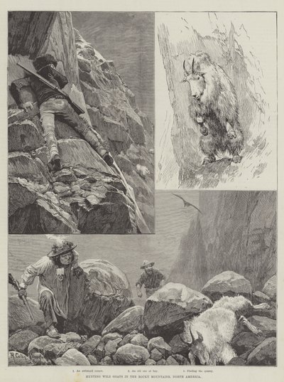 Jagd auf Wildziegen in den Rocky Mountains, Nordamerika von Richard Caton Woodville junior