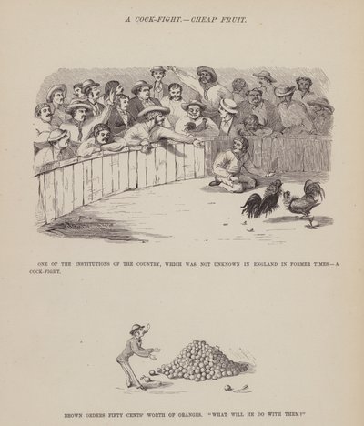 Seite aus Die amerikanische Tour von Messrs Brown, Jones und Robinson von Richard Doyle