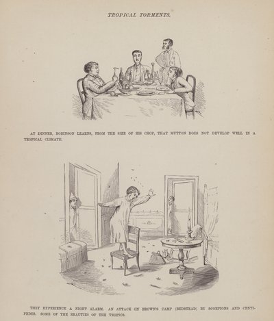 Seite aus Die amerikanische Tour von Messrs Brown, Jones und Robinson (Gravur) von Richard Doyle