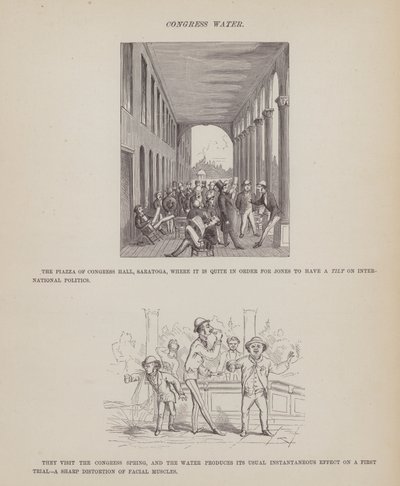 Seite aus Die amerikanische Tour von Herrn Brown, Jones und Robinson von Richard Doyle
