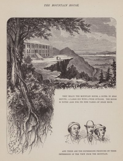 Seite aus Die amerikanische Tour von Herrn Brown, Jones und Robinson (Gravur) von Richard Doyle