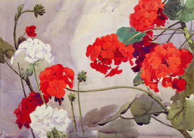 Rote und weiße Geranien von Richard E. Clarke