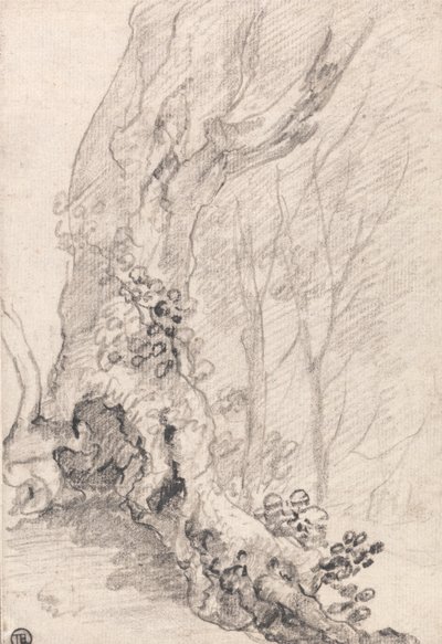 Studie eines alten Baums: Stamm und mit Kletterpflanzen bedeckte Wurzeln von Richard Wilson