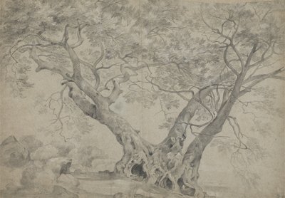 Der Arbra Sacra am Ufer des Lago di Nemi, ca. 1754-56 von Richard Wilson