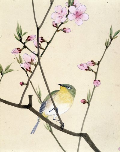 Vogel - Japanische Zeichnung von Riou Chim, Ende des 19. Jahrhunderts von Riu Chim