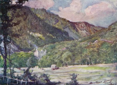 Ein Heufeld in der Nähe von Portmadoc von Robert (after) Fowler