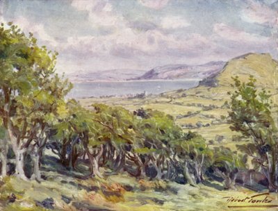 Nahe Colwyn Bay von Robert (after) Fowler