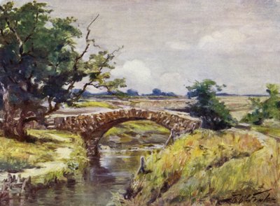 Alte römische Brücke, in der Nähe von Swansea von Robert (after) Fowler