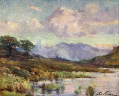 Snowdon vom Capel Curig See, Sommerabend von Robert (after) Fowler