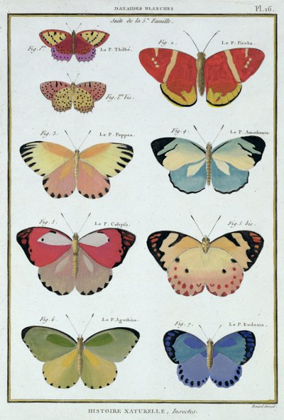 Schmetterlinge aus 